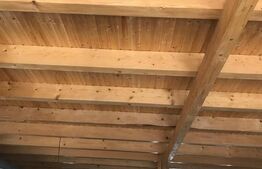 Casă (la rosu), Livadă și Pădure, Teren Generos și Plată Flexibilă – Bezdead