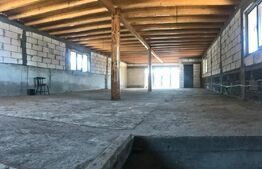 Casă (la rosu), Livadă și Pădure, Teren Generos și Plată Flexibilă – Bezdead