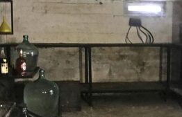 Casă (la rosu), Livadă și Pădure, Teren Generos și Plată Flexibilă – Bezdead