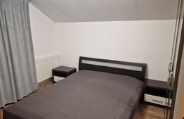 Vila de inchiriat, 100 mp, zona sud-Est