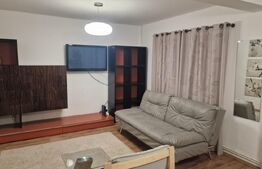 Vila de inchiriat, 100 mp, zona sud-Est