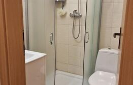 Vila de inchiriat, 100 mp, zona sud-Est