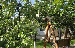 Vanzare in 2 rate Iedera Moreni  Casă individuală P+1 cu mansardă, teren 600 mp 