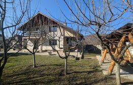  Iedera Moreni  Casă individuală P+1 cu mansardă, teren 600 mp 