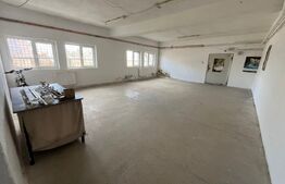 Spațiu industrial de închiriat Sud-Est, Târgoviște