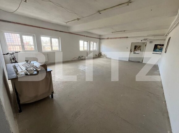 Spațiu industrial de închiriat Sud-Est - 190576SII | BLITZ Târgoviște | Poza1