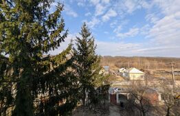 Proprietate deosebită cu teren generos – refugiu de liniște în Măgura, Dâmbovița