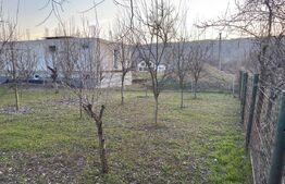 Teren intravilan, 660 mp, Gura Ocnitei