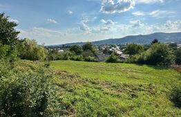 Teren 1.188 mp cu priveliște superbă – ideal pentru 2 case, Pucioasa