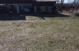 Business Agro-Industrial , 8.032 mp Curți Construcții , 130m Deschidere 