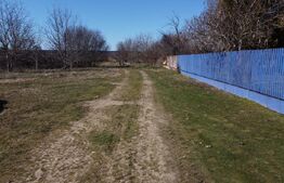 Business Agro-Industrial , 8.032 mp Curți Construcții , 130m Deschidere 