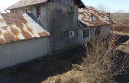 Business Agro-Industrial , 8.032 mp Curți Construcții , 130m Deschidere 