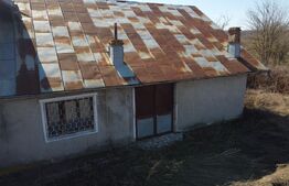 Business Agro-Industrial , 8.032 mp Curți Construcții , 130m Deschidere 