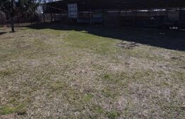 Business Agro-Industrial , 8.032 mp Curți Construcții , 130m Deschidere 