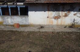 Business Agro-Industrial , 8.032 mp Curți Construcții , 130m Deschidere 