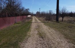 Business Agro-Industrial , 8.032 mp Curți Construcții , 130m Deschidere 