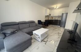 Studio modern, 45 mp, Class Park 