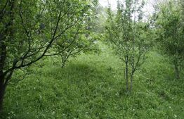 Teren de vânzare, 884 mp, zona Runcu 