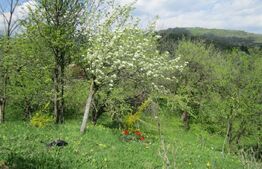 Teren de vânzare, 884 mp, zona Runcu 