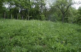 Teren de vânzare, 884 mp, zona Runcu 