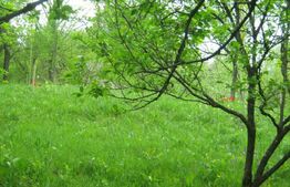 Teren de vânzare, 884 mp, zona Runcu 