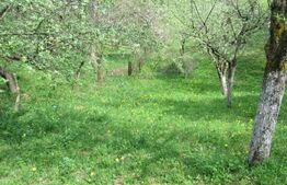 Teren de vânzare, 884 mp, zona Runcu 