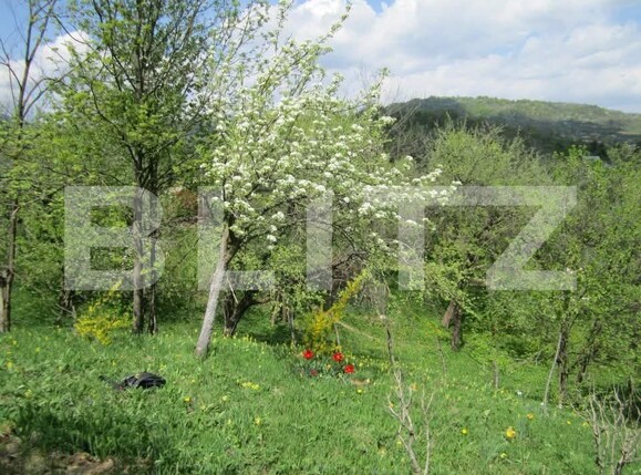 Teren de vânzare Sud - 191079TV | BLITZ Târgoviște | Poza7