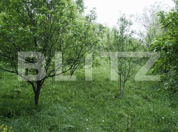 Teren de vânzare Sud - 191079TV | BLITZ Târgoviște | Poza2