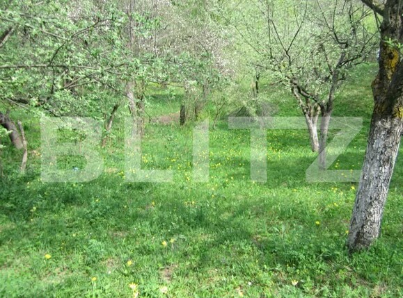 Teren de vânzare Sud - 191079TV | BLITZ Târgoviște | Poza6