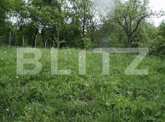 Teren de vânzare Sud - 191079TV | BLITZ Târgoviște | Poza1