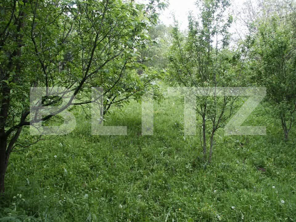 Teren de vânzare Fieni - 191079TV | BLITZ Târgoviște | Poza4