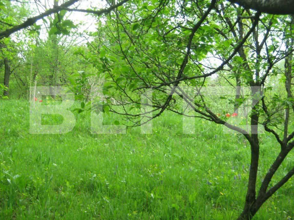 Teren de vânzare Sud - 191079TV | BLITZ Târgoviște | Poza3