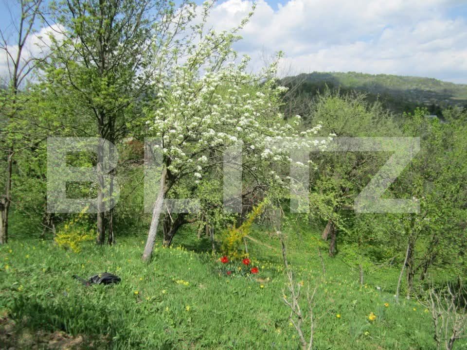 Teren de vânzare Fieni - 191079TV | BLITZ Târgoviște | Poza7