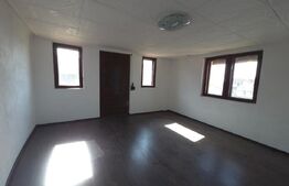 Casă P+1  teren 920 mp în Sălcuța (Titu)  – 69.900E