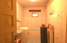 Casă P+1  teren 920 mp în Sălcuța (Titu)  – 69.900E