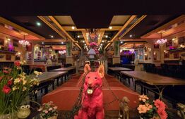 Club funcțional + sală evenimente, 701 mp, zona Nord