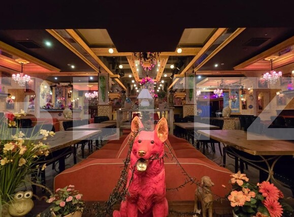 Spațiu comercial de vânzare Exterior Nord - 191376SVC | BLITZ Târgoviște | Poza6