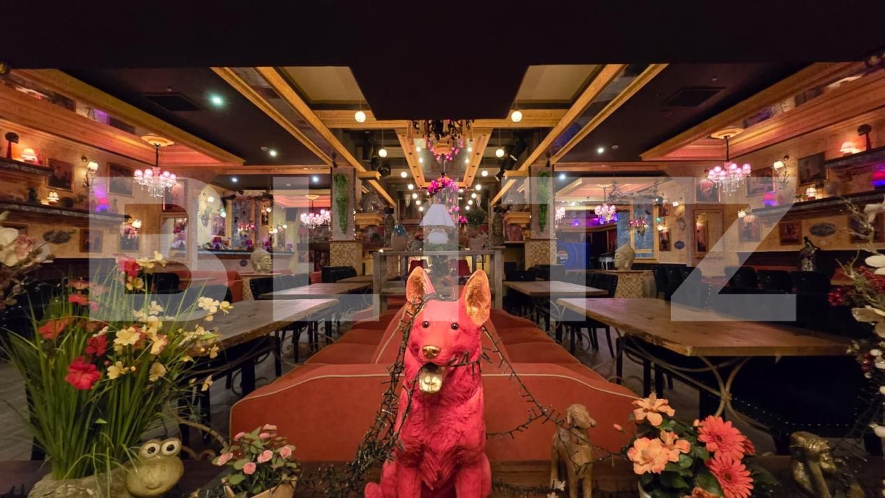 Spațiu comercial de vânzare Exterior Nord - 191376SVC | BLITZ Târgoviște | Poza6