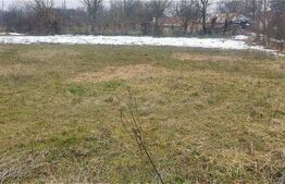 🌿 Teren 2.700 mp cu deschidere 22 ml – liniște, natură și acces rapid la oraș