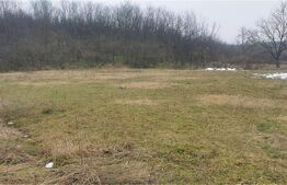 🌿 Teren 2.700 mp cu deschidere 22 ml – liniște, natură și acces rapid la oraș