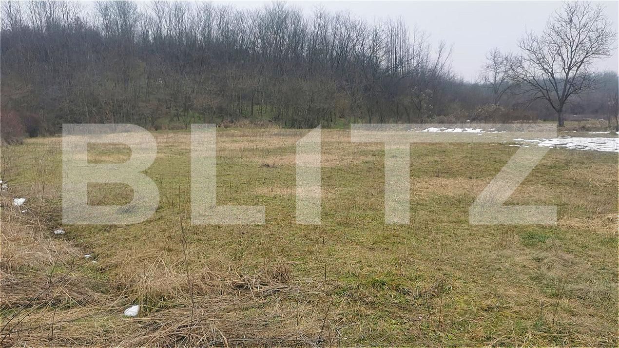 Teren de vânzare Valea Mare - 191538TV | BLITZ Târgoviște | Poza3