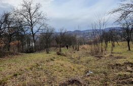 Teren in Glodeni DB- 770 mp - 5,500 E