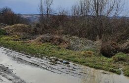 Teren in Glodeni DB- 770 mp - 5,500 E