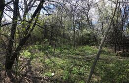 Teren intravilan, utilitati trase, zona Teis