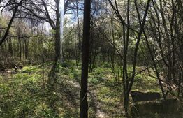 Teren intravilan, utilitati trase, zona Teis