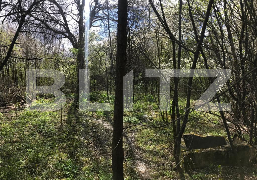 Teren de vânzare Nord - 191954TV | BLITZ Târgoviște | Poza7