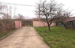 Vilă Premium P+1 în Buciumen – Spațiu, Eleganță și Natură (Lângă Hanul din Meri)