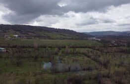 Vilă Premium P+1 în Buciumen – Spațiu, Eleganță și Natură (Lângă Hanul din Meri)