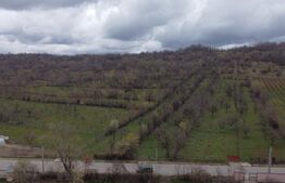 Vilă Premium P+1 în Buciumen – Spațiu, Eleganță și Natură (Lângă Hanul din Meri)