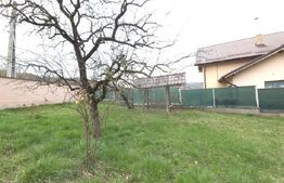 Vilă Premium P+1 în Buciumen – Spațiu, Eleganță și Natură (Lângă Hanul din Meri)